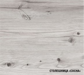АСАЯ Кухонный гарнитур Экстра (3000 мм) в Заводоуковске - zavodoukovsk.ok-mebel.com | фото 8