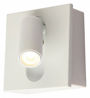 Бра Kink Light Эви 08073,01 в Заводоуковске - zavodoukovsk.ok-mebel.com | фото