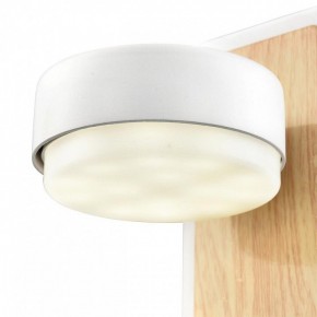Бра Lumion LELAND 8263/1W в Заводоуковске - zavodoukovsk.ok-mebel.com | фото 9