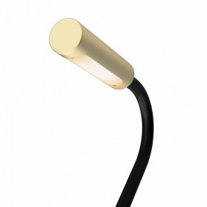 Бра Maytoni Stem C035WL-L3MG3K в Заводоуковске - zavodoukovsk.ok-mebel.com | фото 6