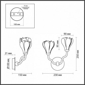 Бра Odeon Light Gardi 5090/2W в Заводоуковске - zavodoukovsk.ok-mebel.com | фото 4