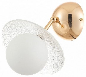 Бра Rivoli Jacqueline Б0066444 в Заводоуковске - zavodoukovsk.ok-mebel.com | фото