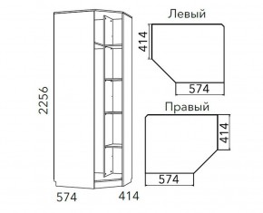 Детская Фанк Шкаф угловой Левый/Правый НМ 013.04-02 М в Заводоуковске - zavodoukovsk.ok-mebel.com | фото 3