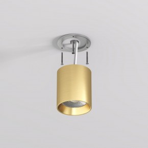 DK2610-SB Накладной светильник SHINE TUBE со светодиодом, D70*H80, IP20, 3000К, 10W, RA?90, сатинированная латунь, алюминий в Заводоуковске - zavodoukovsk.ok-mebel.com | фото 3