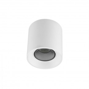 DK3090-WH+CH Светильник накладной IP 20, 10 Вт, GU5.3, LED, белый/хром, пластик в Заводоуковске - zavodoukovsk.ok-mebel.com | фото