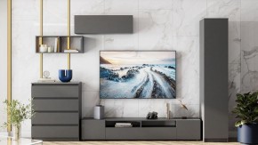 Комод Сибити в Заводоуковске - zavodoukovsk.ok-mebel.com | фото 5
