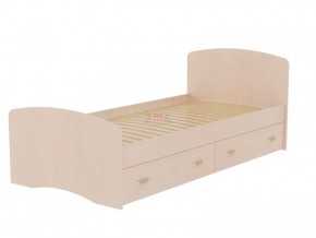 Кровать-6 одинарная с 2-мя ящиками (900*2000) в Заводоуковске - zavodoukovsk.ok-mebel.com | фото 4
