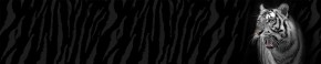 Кухонный фартук Фауна 055 МДФ матовый (3000) Fauna в Заводоуковске - zavodoukovsk.ok-mebel.com | фото 1