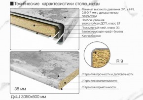 Кухонный фартук со столешницей (А-06) в едином стиле (3050 мм) в Заводоуковске - zavodoukovsk.ok-mebel.com | фото 6