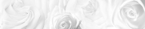Кухонный фартук Цветы 217 МДФ матовый (3000) Flowers в Заводоуковске - zavodoukovsk.ok-mebel.com | фото