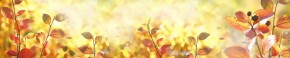 Кухонный фартук Цветы 318 МДФ матовый (3000) Flowers в Заводоуковске - zavodoukovsk.ok-mebel.com | фото 1