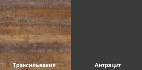 Кухонный гарнитур угловой Трансильвания 2600х1600 мм (Стол. 38 мм) в Заводоуковске - zavodoukovsk.ok-mebel.com | фото 3