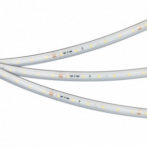 Лента светодиодная Arlight IC-PS-A60-10mm 24V 050656 в Заводоуковске - zavodoukovsk.ok-mebel.com | фото