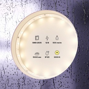 Лента светодиодная Maytoni Led strip 10105 в Заводоуковске - zavodoukovsk.ok-mebel.com | фото 2