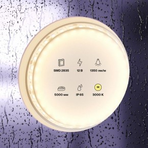 Лента светодиодная Maytoni Led strip 10117 в Заводоуковске - zavodoukovsk.ok-mebel.com | фото 2