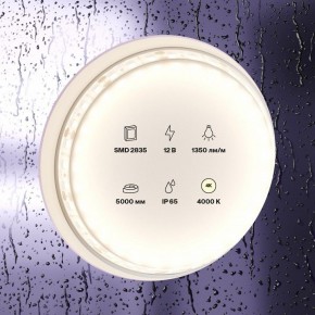 Лента светодиодная Maytoni Led strip 10118 в Заводоуковске - zavodoukovsk.ok-mebel.com | фото 2