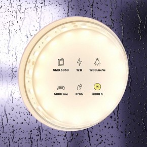 Лента светодиодная Maytoni Led strip 10131 в Заводоуковске - zavodoukovsk.ok-mebel.com | фото 2