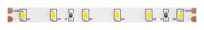 Лента светодиодная Maytoni Led strip 10140 в Заводоуковске - zavodoukovsk.ok-mebel.com | фото