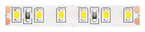 Лента светодиодная Maytoni Led strip 10147 в Заводоуковске - zavodoukovsk.ok-mebel.com | фото