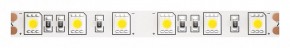 Лента светодиодная Maytoni Led strip 10170 в Заводоуковске - zavodoukovsk.ok-mebel.com | фото
