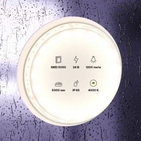 Лента светодиодная Maytoni Led strip 10172 в Заводоуковске - zavodoukovsk.ok-mebel.com | фото 2