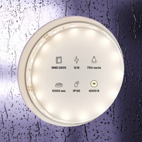 Лента светодиодная Maytoni Led strip 20005 в Заводоуковске - zavodoukovsk.ok-mebel.com | фото 2