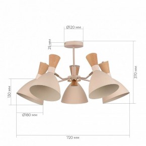 Люстра на штанге EVOLUCE VISTA SLE1256-502-05 в Заводоуковске - zavodoukovsk.ok-mebel.com | фото 8