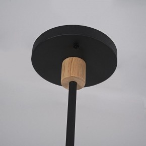 Люстра на штанге Imperiumloft TURNA Black TURNA-DBL01 в Заводоуковске - zavodoukovsk.ok-mebel.com | фото 9