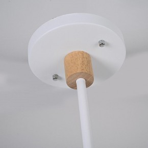 Люстра на штанге Imperiumloft TURNA White TURNA-DBL01 в Заводоуковске - zavodoukovsk.ok-mebel.com | фото 7