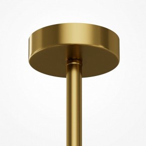 Люстра на штанге Maytoni Museo MOD436PL-07BS в Заводоуковске - zavodoukovsk.ok-mebel.com | фото 5