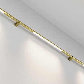 Модульный светильник Maytoni Basis C100CL-L500-12W3-6K-BS в Заводоуковске - zavodoukovsk.ok-mebel.com | фото 2