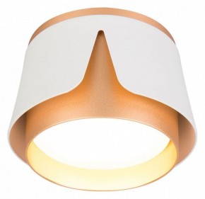 Накладной светильник Arte Lamp Amaks A8028PL-1WH в Заводоуковске - zavodoukovsk.ok-mebel.com | фото