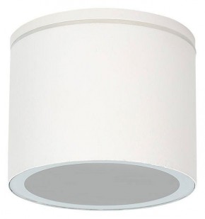 Накладной светильник Arte Lamp Piautos A1913PF-1WH в Заводоуковске - zavodoukovsk.ok-mebel.com | фото