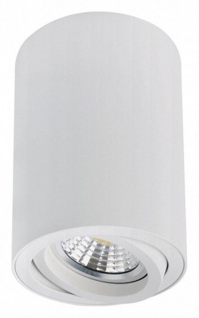 Накладной светильник Arte Lamp Sentry A1566PL-1WH в Заводоуковске - zavodoukovsk.ok-mebel.com | фото