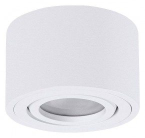 Накладной светильник Arte Lamp Unito A0550PL-1WH в Заводоуковске - zavodoukovsk.ok-mebel.com | фото