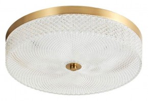 Накладной светильник Arti Lampadari Viro Viro L 1.13.35x7 G в Заводоуковске - zavodoukovsk.ok-mebel.com | фото