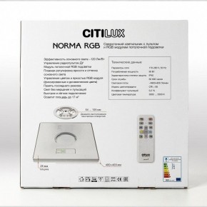 Накладной светильник Citilux Norma CL749K400 в Заводоуковске - zavodoukovsk.ok-mebel.com | фото 17