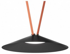 Накладной светильник Denkirs Belty Flow DK5568-BK в Заводоуковске - zavodoukovsk.ok-mebel.com | фото 2