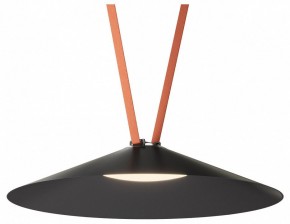 Накладной светильник Denkirs Belty Flow DK5569-BK в Заводоуковске - zavodoukovsk.ok-mebel.com | фото 2