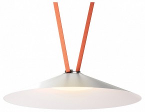 Накладной светильник Denkirs Belty Flow DK5569-WH+BK в Заводоуковске - zavodoukovsk.ok-mebel.com | фото