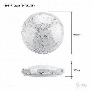 Накладной светильник Эра Классик SPB-6-24-4K (C) в Заводоуковске - zavodoukovsk.ok-mebel.com | фото 6