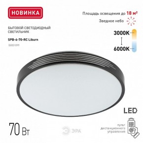 Накладной светильник Эра Классик SPB-6-70-RC Liburn в Заводоуковске - zavodoukovsk.ok-mebel.com | фото 10