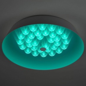 Накладной светильник Эра  SPB-6-60-RC Locus RGB в Заводоуковске - zavodoukovsk.ok-mebel.com | фото 8