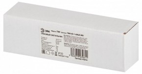 Накладной светильник Эра  TRM-S5-1-6W4K-WH в Заводоуковске - zavodoukovsk.ok-mebel.com | фото 6