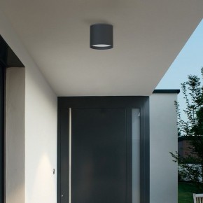 Накладной светильник Favourite Fantum 4663-1U в Заводоуковске - zavodoukovsk.ok-mebel.com | фото 3