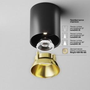Накладной светильник Maytoni Alfa LED C064CL-12W4K-RD-B в Заводоуковске - zavodoukovsk.ok-mebel.com | фото 3