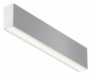 Накладной светильник Maytoni Basis C068CL-20W3-6K-W в Заводоуковске - zavodoukovsk.ok-mebel.com | фото