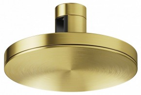 Накладной светильник Maytoni Plato TR152-1-7W4K-BS в Заводоуковске - zavodoukovsk.ok-mebel.com | фото