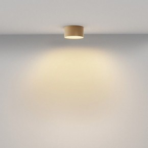 Накладной светильник Maytoni Zon C032CL-12W2.7K-RD-MG в Заводоуковске - zavodoukovsk.ok-mebel.com | фото 4