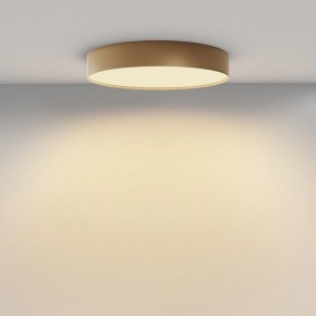 Накладной светильник Maytoni Zon C032CL-45W2.7K-RD-MG в Заводоуковске - zavodoukovsk.ok-mebel.com | фото 4